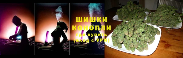 трава Аркадак