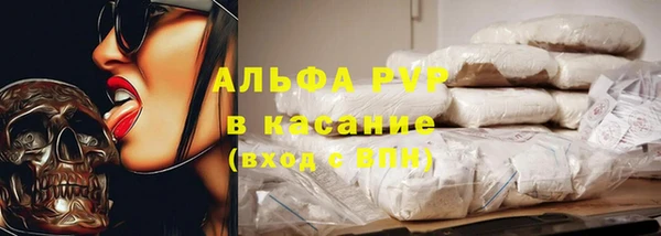 трава Аркадак