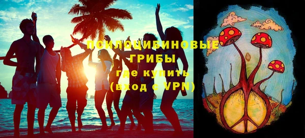 МДПВ Арсеньев