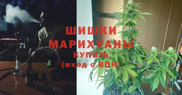 гашик Армянск