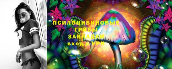 гашик Армянск