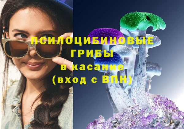 МДПВ Арсеньев