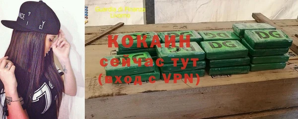 трава Аркадак